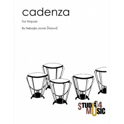 Cadenza for Timpani